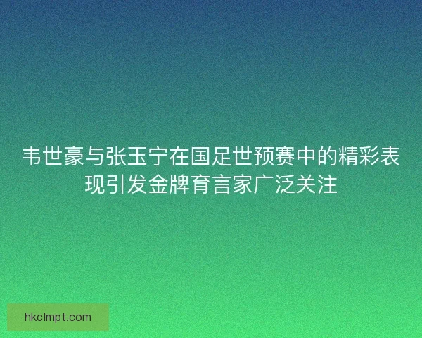 韦世豪与张玉宁在国足世预赛中的精彩表现引发金牌育言家广泛关注